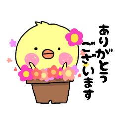 ひよこのピーピー