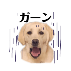 おてんばラブラドール！つくし2