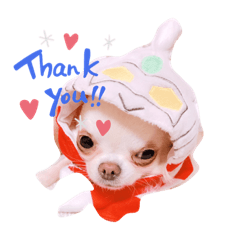 つり目のまめたの日常スタンプ①