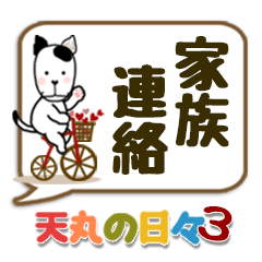 家族連絡用Lサイズの癒し犬＊天丸の日々３