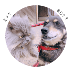 チャコとモコさん