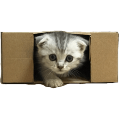 ねこねこらいふ39