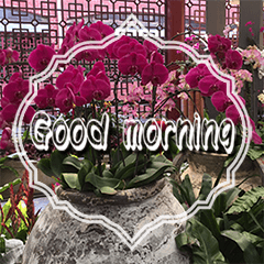 Miss Chang's daily languages-11