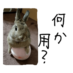 家のウサギスタンプ2