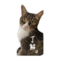 くぅちゃと、まりー