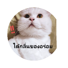 Chucream_20200821221714