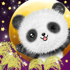 パンダンダ-秋冬-