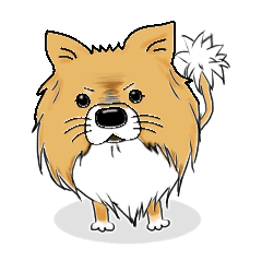 100％ よくつかう。愛犬