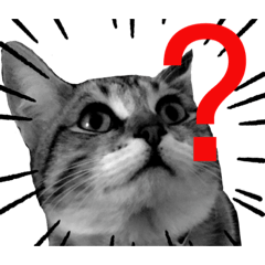 Chaussette Le chat vol.2