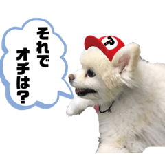 毒吐く犬。ごく稀に天使