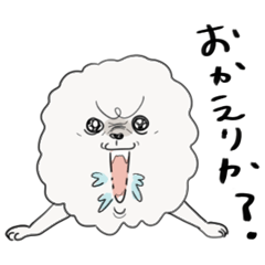 ぼくのポメラニアン