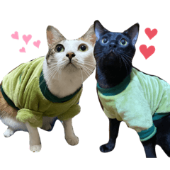 jocelyn_20201215232045