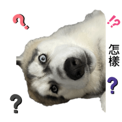 Sharon_20210405005819