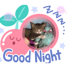 いちごくん♡スタンプにゃ