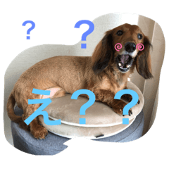 るいの1日　　part2