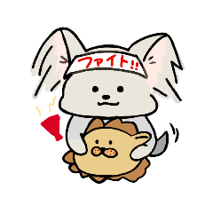 ヨーキーしょこちゃん