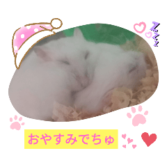 カラフルはむはむyuki作