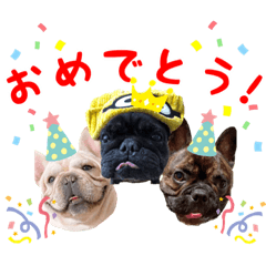 熊虎獅子のにぎやかスタンプ