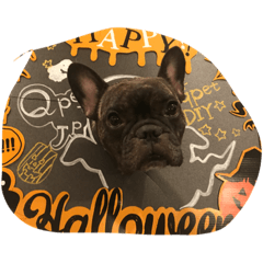 フレブル タイガ 第１弾