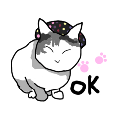 我が家のおにゃんこ