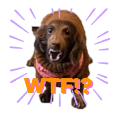 アビ助&じるっち