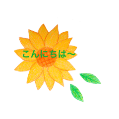 かわいいお花と日常会話♡