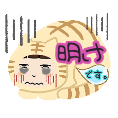 メガネネコちゃん勤務スタンプ