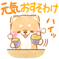 大人の気遣い❤️いやしばいぬ❤️