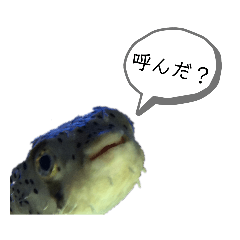 陸とか海の生き物たちの日常会話スタンプ
