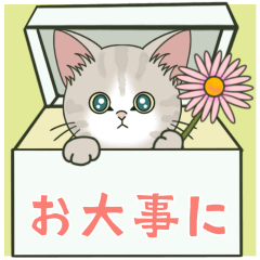 【しんどい時に使える】仔猫のぽんにゃん