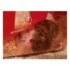 仲良し　ぐりとぐら