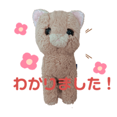 可愛い茶太郎くん