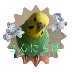 らくちゃんとらちゃん