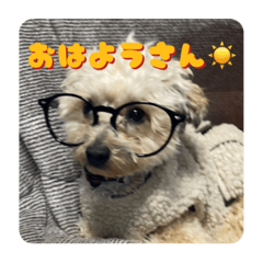 おかきの日常 2（関西弁Ver.）