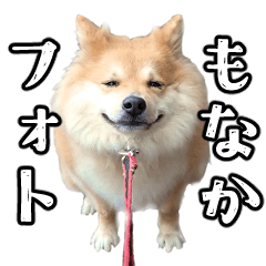 もなかフォトスタンプ