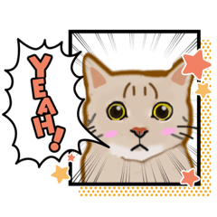 Vivian C._20230425003324