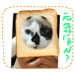 ほたてスタンプ4