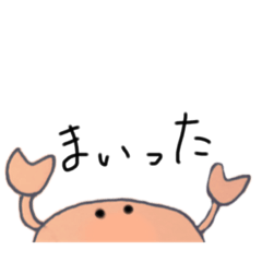 はなまるかにもどき