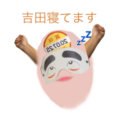 吉田の卵の日常