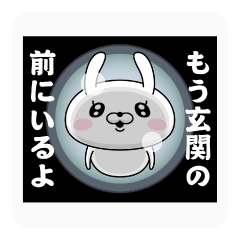 踊る！ドSうさぎちゃん（変態）