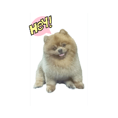 Onewai_20230906233149