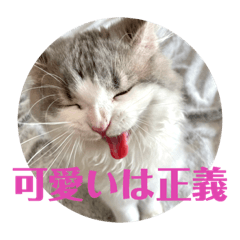 可愛すぎるぐぅちゃんのスタンプ