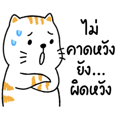 Salmon ( working v.2 )