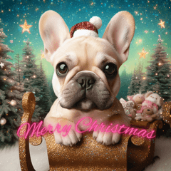 フレンチブルドックサンタさん