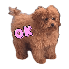 もさいぬくん♡