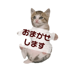 毎日使える❤️癒し系❤️ねこスタンプ