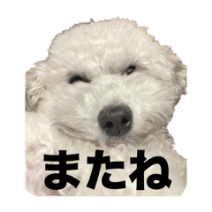 てとらぽっとすたんぷ