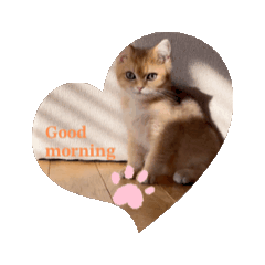 動く！コムギの生活〜