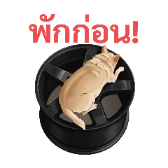 plugin_20251004223442