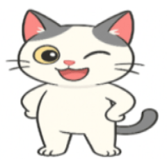 子猫バイリンガル